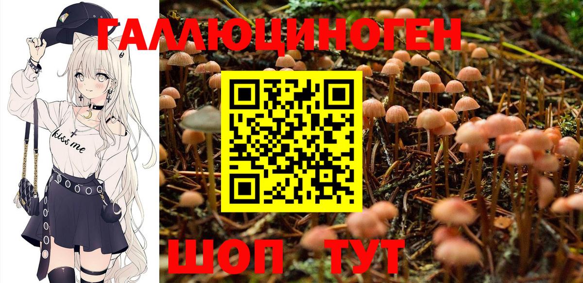 Элиста  Псилоцибиновые грибы мухоморы  Вход с VPN 