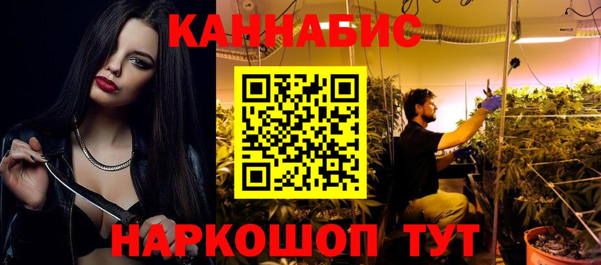 Бошки марихуана тримм  Вход с VPN  Элиста  Каннабис OG Kush 
